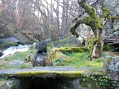 DSCN1492 DSCN1492