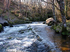 DSCN1495 DSCN1495
