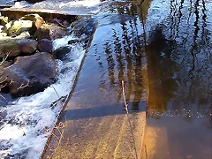 DSCN1480 DSCN1480