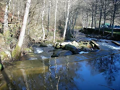 DSCN1481 DSCN1481