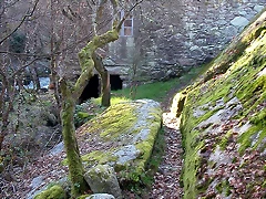 DSCN1484 DSCN1484