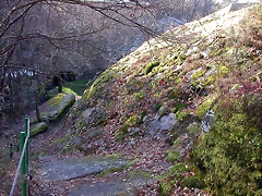 DSCN1482 DSCN1482