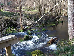 DSCN1475 DSCN1475