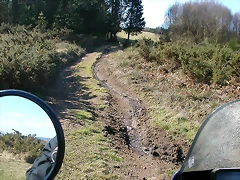 DSCN1543 DSCN1543