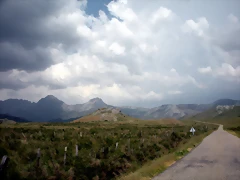 DSCN3553 DSCN3553