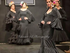 Pasarela 12-2-2015 (53)