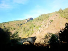 DSCN1445 DSCN1445