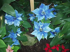 P1010061