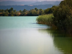 laguna hoy
