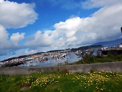 DSCN9774 DSCN9774