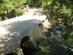 DSCN6598 DSCN6598