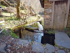 DSCN2828 DSCN2828