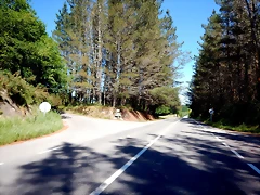 DSCN2298 DSCN2298