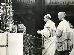 PIO XII FALDA