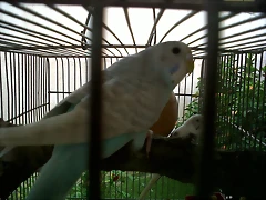 IMG00011-20101008-1622