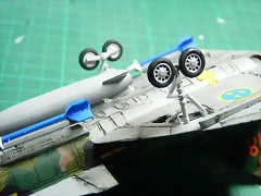 P1070980 P1070980