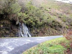 DSCN7150 DSCN7150