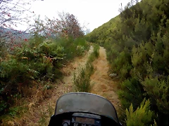 DSCN9891 DSCN9891