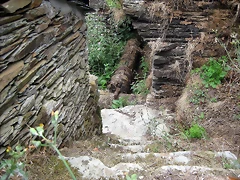 IMG_0288 IMG_0288