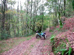 DSCN6286 DSCN6286