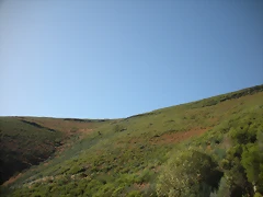 DSCN0059