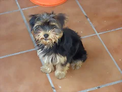 Suri en la terraza