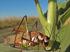 IMG_4571-copia