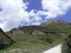 R0012874 R0012874