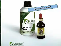 GreenvetScan0295