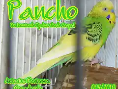 2010 004 PANCHO