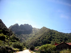 DSCN8463 DSCN8463