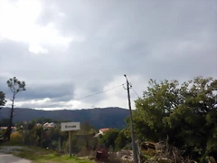DSCN1917 DSCN1917