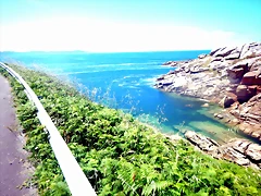 DSCN5515 DSCN5515