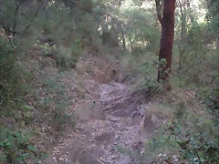 PICT0168