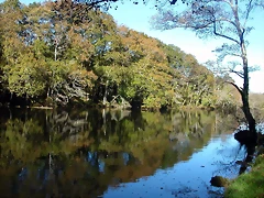DSCN6359 DSCN6359