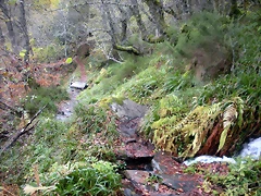 DSCN0790 DSCN0790