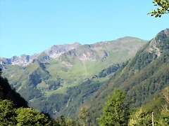 IMG_6726 IMG_6726