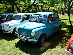 DSC_0676 DSC_0676