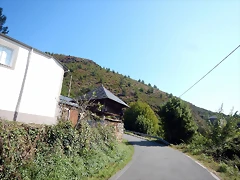DSCN6981 DSCN6981