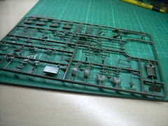 DSCN2423 DSCN2423