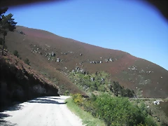 DSCF2633 DSCF2633