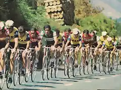 PELOTON ESPAOL 1975