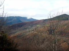 DSCN2171