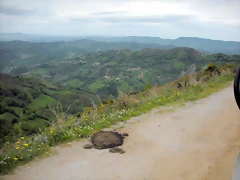 DSCN4626 DSCN4626