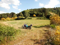 DSCN9241 DSCN9241