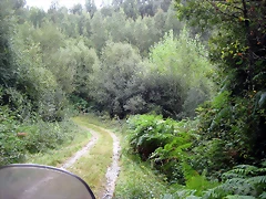 IMG_0242 IMG_0242
