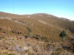 DSCN1551 DSCN1551