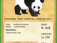 panda