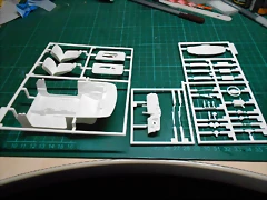 DSCN5287