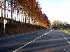 DSCN0490 DSCN0490